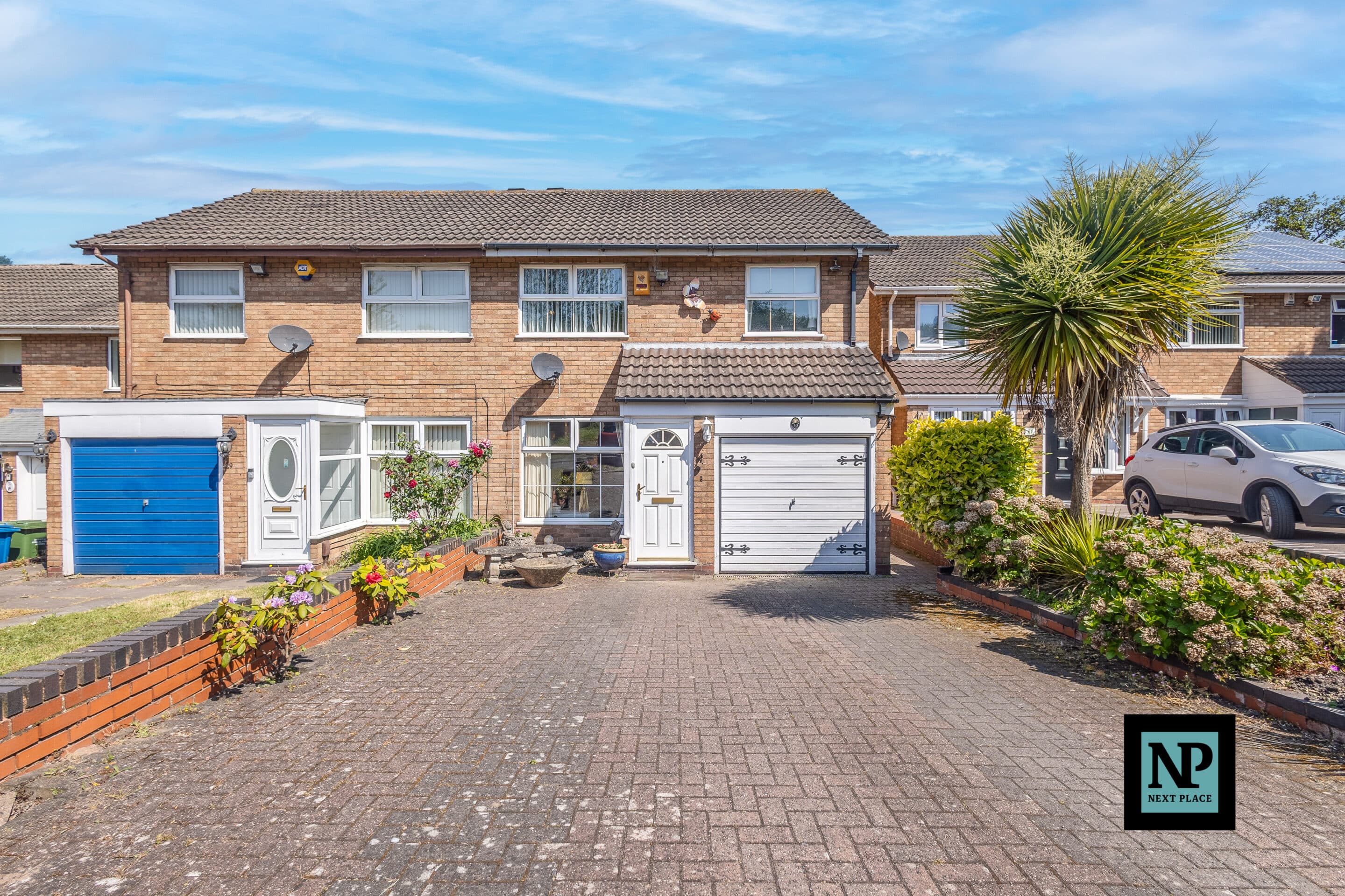 Angelica, Amington, B77