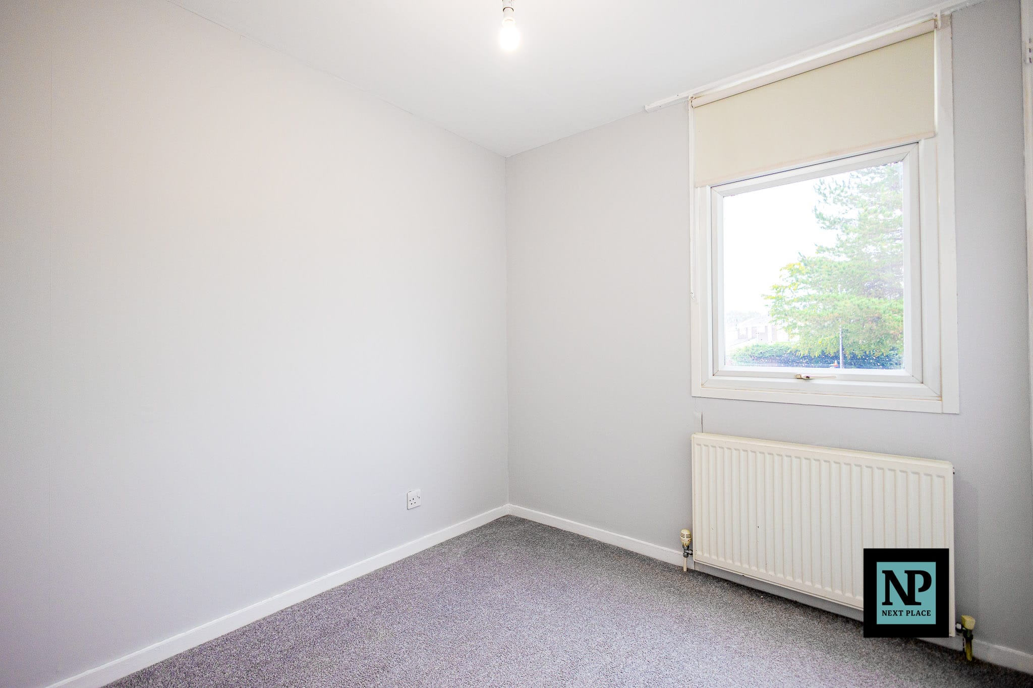 Number 17