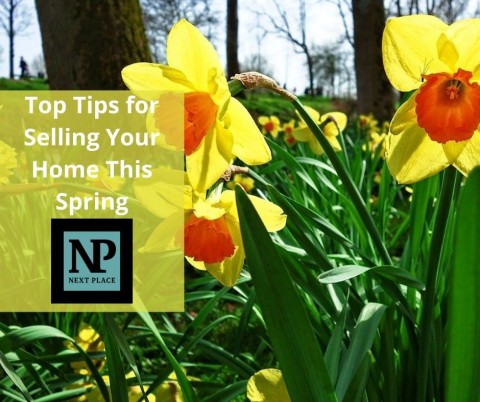 Top Tips for Selling Your Home This Spring